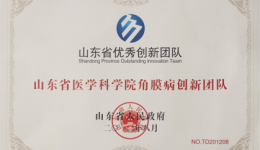 山东省优秀创新团队
