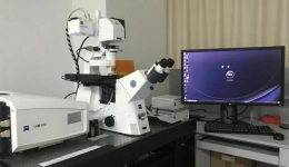 Laboratory of Cell Biology