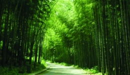 春天护眼好方法