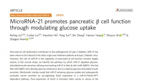 阮庆国/史伟云教授研究团队揭示胰岛β细胞中的miR-21在调控胰岛功能中的作用和机制