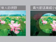 “世界青光眼周”系列活动即将开始啦！