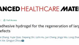 谢立信/周庆军团队研发成分仿生细胞外基质水凝胶修复大直径角膜缺损