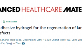 谢立信/周庆军团队研发成分仿生细胞外基质水凝胶修复大直径角膜缺损