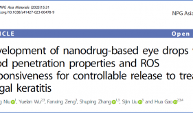 高华教授/张书平教授合作团队在NPG Asia Materials发表真菌性角膜炎纳米治疗研究成果