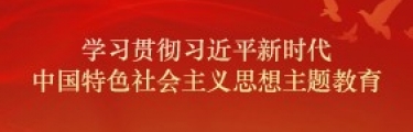 学习贯彻习近平新时代中国特色社会主义思想主题教育