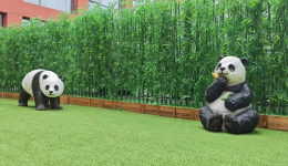 【主题教育 建新功】山东第一医科大学附属青岛眼科医院职工健康服务中心正式启用