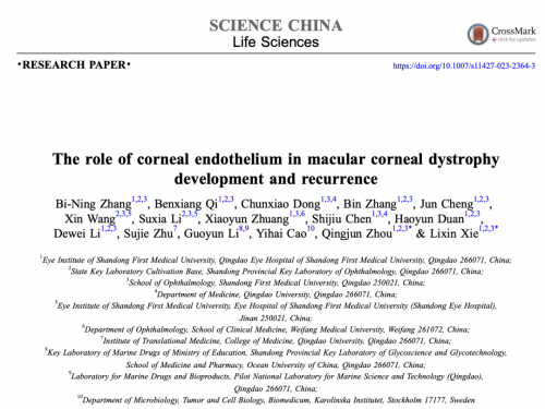 谢立信/周庆军教授团队揭示角膜内皮在斑块状角膜营养不良发展和术后复发中的关键作用