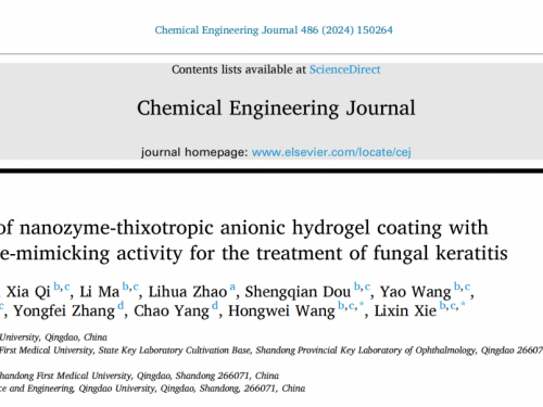 谢立信院士团队成功构建了一种治疗真菌性角膜炎的纳米复合水凝胶