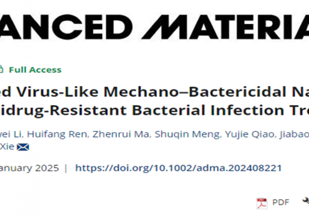 来自昆虫翅膀的灵感：谢立信教授团队研发具有物理抗菌性能的“病毒状”仿生纳米马达，可用于耐药菌感染性角膜炎的高效治疗