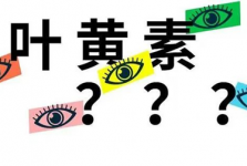 近视防控选叶黄素，跟风还是真科学？？