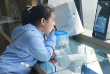 角膜塑形镜控制近视效果，会随季节 “变脸”？