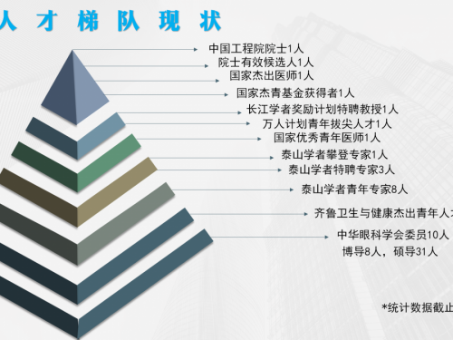 人才梯队
