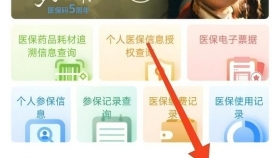 “亲情账户”和“个账共济”