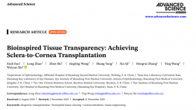 【成果速递】史伟云/王婷教授团队研发透明化人巩膜角膜替代材料