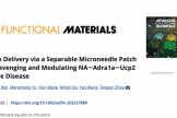 【成果速递】 | 谢立信团队研发ROS响应性分离式微针贴片靶向调控NA-Adra1a-Ucp2信号通路治疗干眼新策略