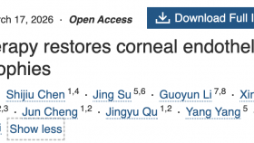 【成果速递】谢立信教授团队建立了靶向角膜内皮的基因治疗新策略用于治疗角膜营养不良