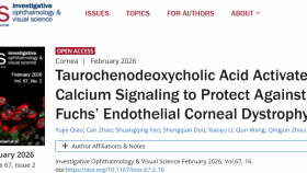 【成果速递】周庆军教授团队揭示TCDCA治疗Fuchs角膜内皮营养不良的新机制与潜在策略