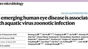 【成果速递】水产病毒跨界侵袭!研究首次揭示水产动物病毒引发人类眼部感染机制