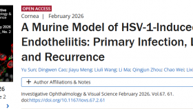 【成果速递】谢立信院士团队成功构建单纯疱疹病毒性角膜内皮炎小鼠模型